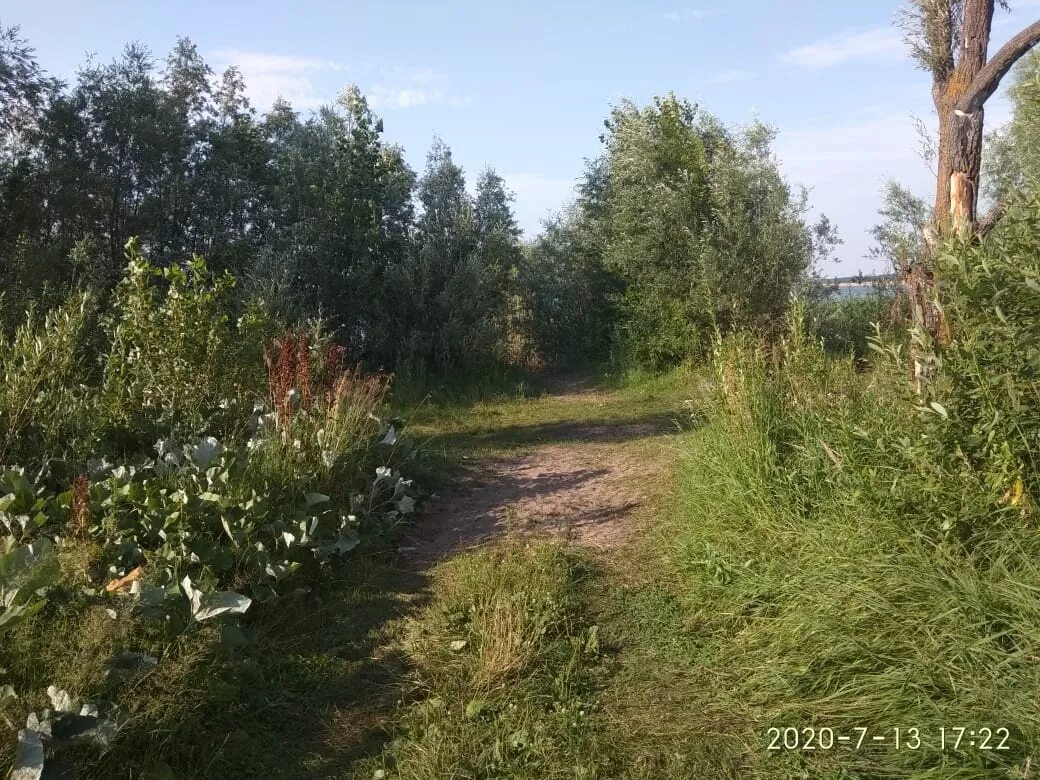 Поселок лесной ульяновская. Поселок лесной ульяновская. Село лесное матюнино. Лесная долина ульяновск поселок. Поселок лесной ульяновская.
