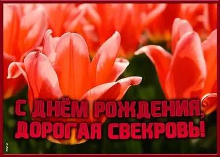 С день рождения свекрови видео
