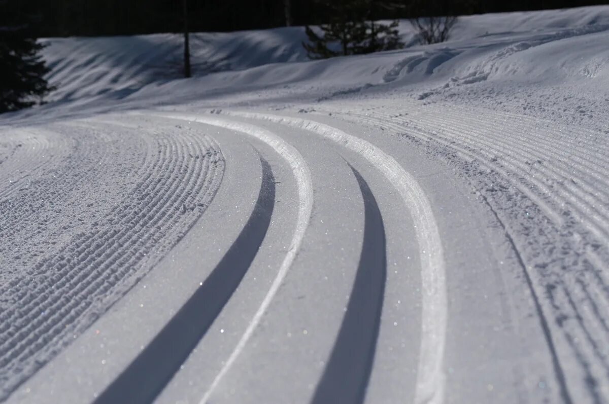 Ski tracks. Следы от лыж. След от саней на снегу. Следы на снегу. Лыжные следы на снегу.