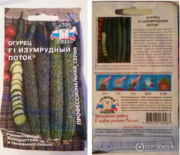 Огурец изумрудные семена
