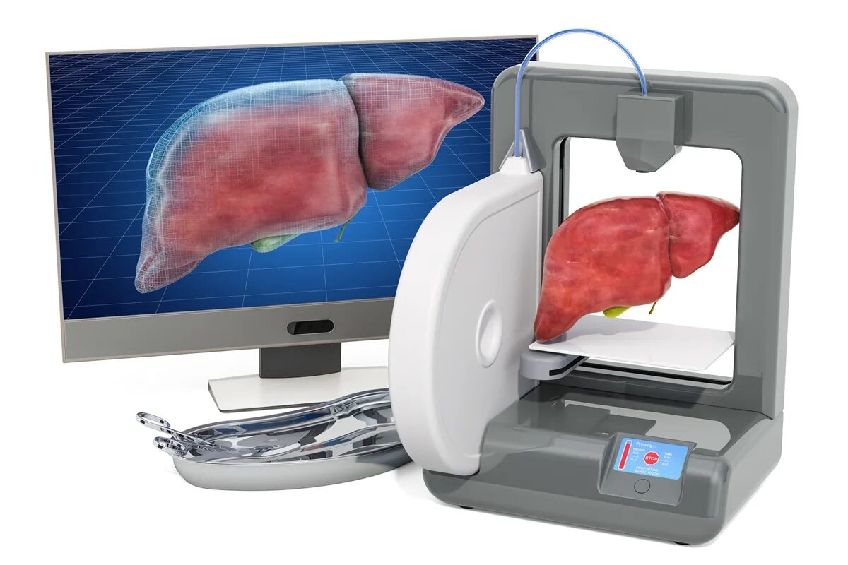 Печатать органы. 3d принтер биопринтер. Трехмерная печать в медицине. Искусственная печень на 3d принтере.