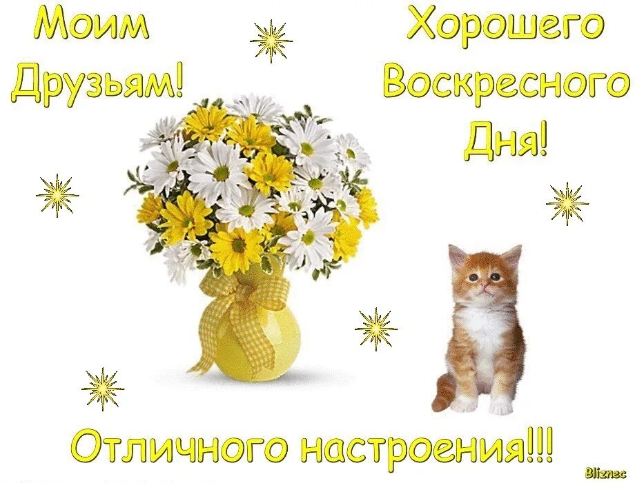 Доброго воскресения друзья