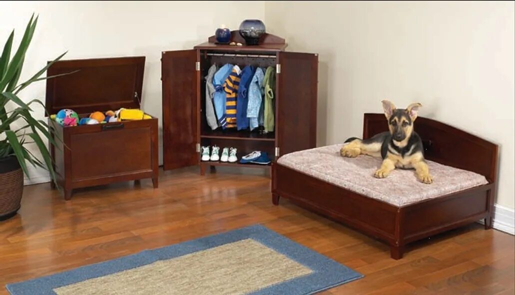 Мебель для собак. Мебель для собак в квартиру. Комната для собак. Комод кровать для собаки. Pets room