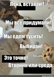 В последнее время лена все чаще встречает