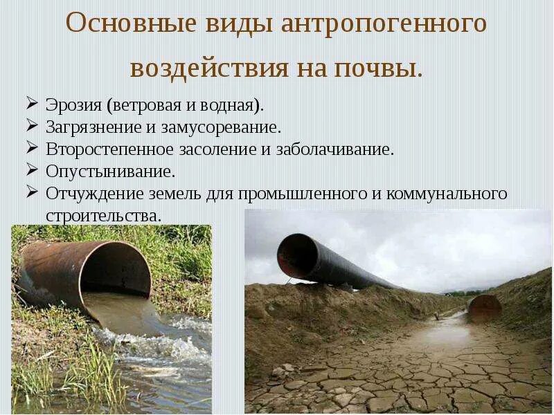 Одной из экологических проблем является ветровая
