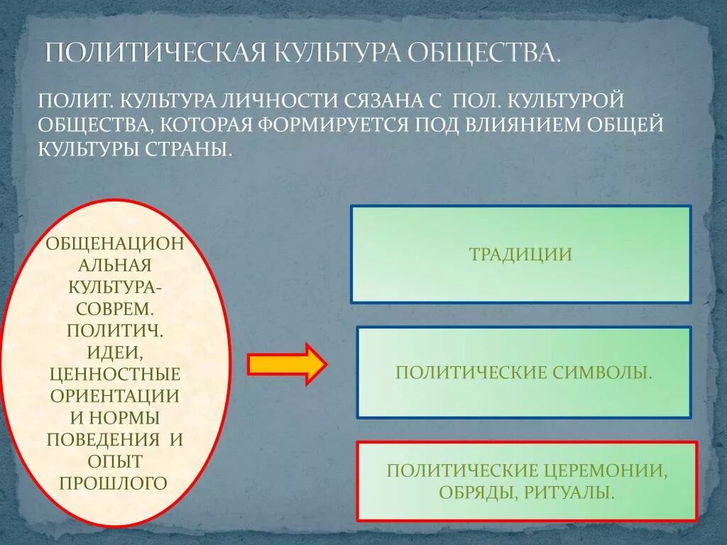 Типы политической жизни