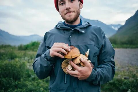 Collect mushrooms