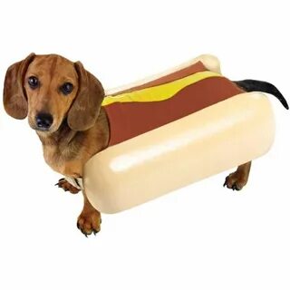 Hot doggy