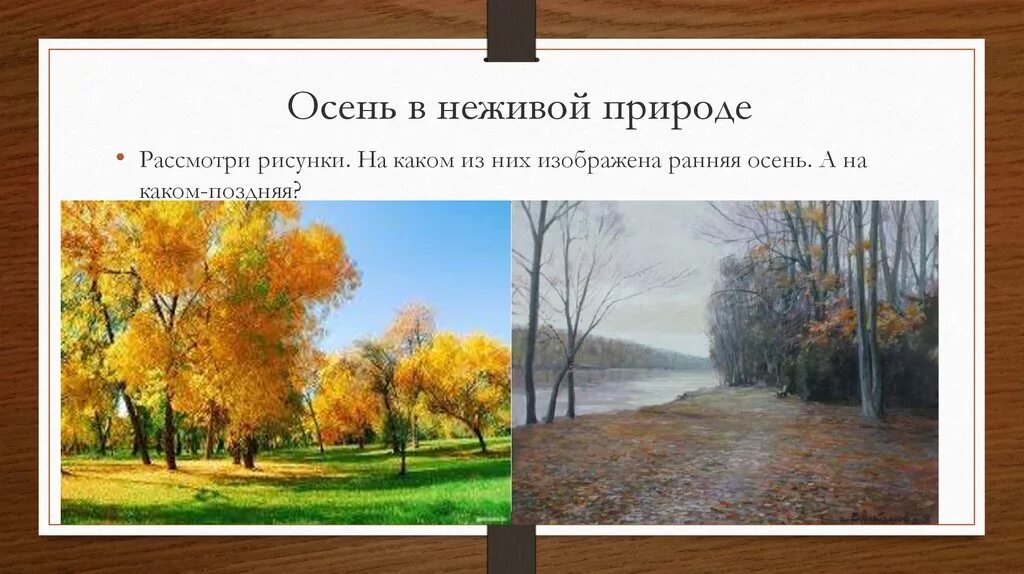 Осеннего неживой природы