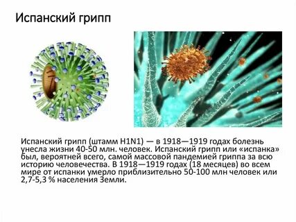 Вирус n7n9 что это