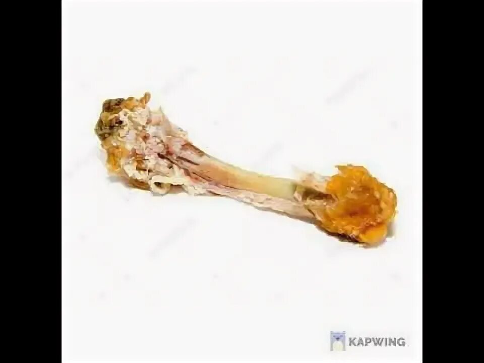Decalcification for Histological Processing