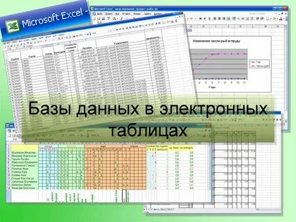 Формы данных в электронных таблицах