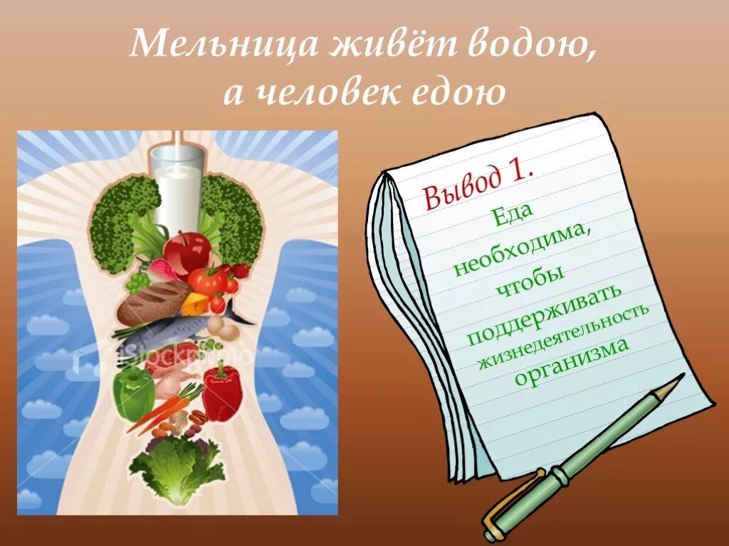 Правила здорового питания пословицы. Пословицы о здоровом питании. Пословицы о правильном питании. Пословицы и поговорки о ед. Поговорки о здоровой еде.