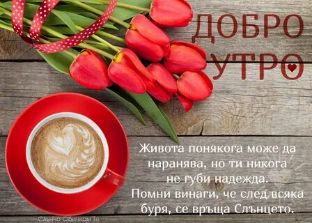 Для девочки красивое утро