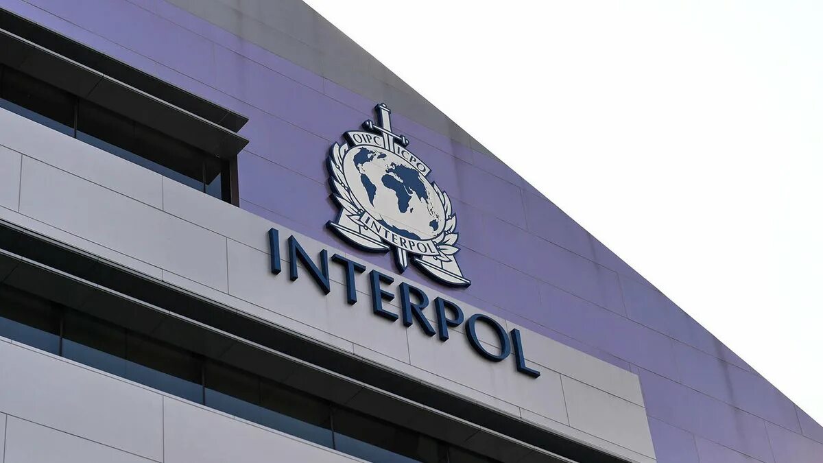 Что такое интерпол. Интерпол. Интерпол. Красное уведомление интерпола. Что такое интерпол.