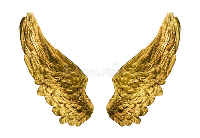 Золотые крылья 2. Золотые Крылья. Картина золотые Крылья. Золотые ангельские Крылья. Картина крыло золото.