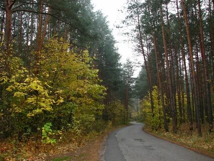 Участки лесники