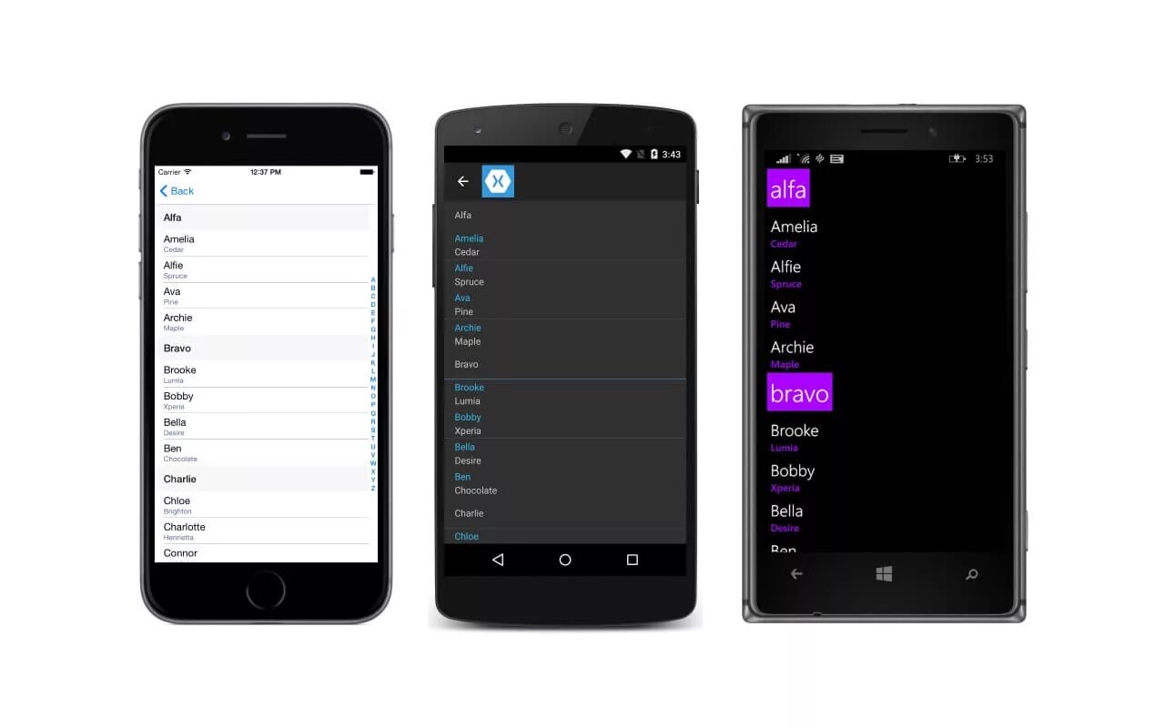 Listview items. Xamarin forms. xamarin платформа. xamarin android. listview.