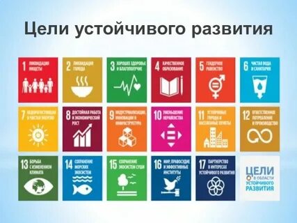12 м 12 в целях