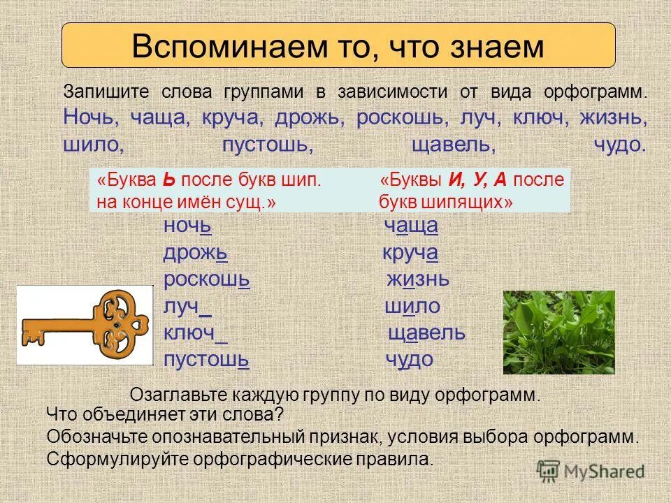 Орфограмма в слове идет. Орфограмма в слове чаща. Орфограмма в слове ключ. Орфограмма в слове ключик. Запишите слова в зависимости от орфограммы.