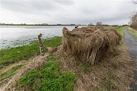 Flood field