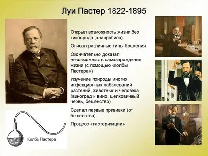 Л пастер открытие