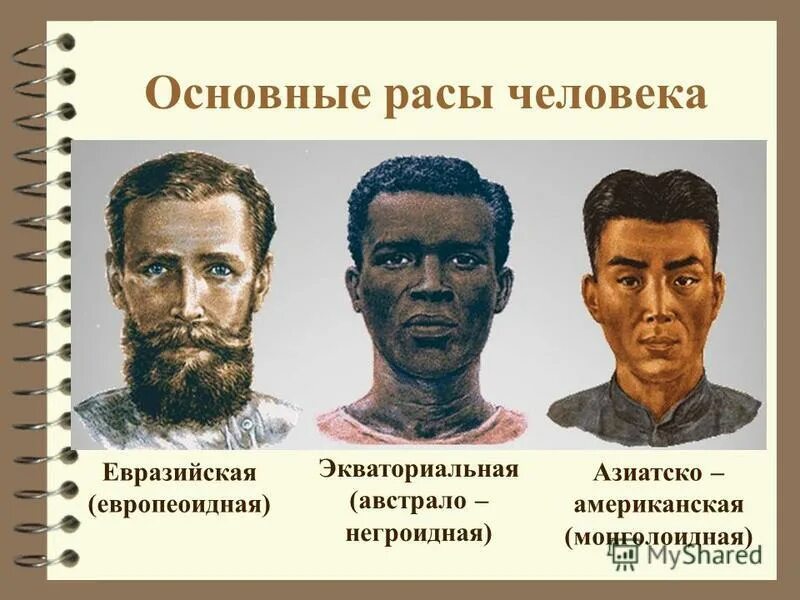 Расы людей. Деление народов на расы. Люди негроидной расы. Три вида расы людей. Расы и их характеристика.