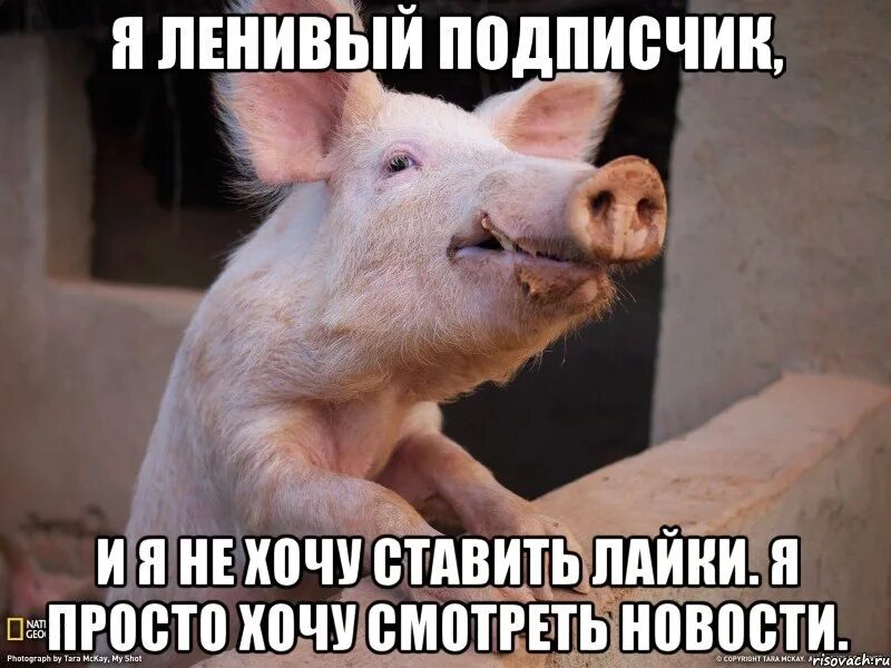 Не хочу видеть бывшего