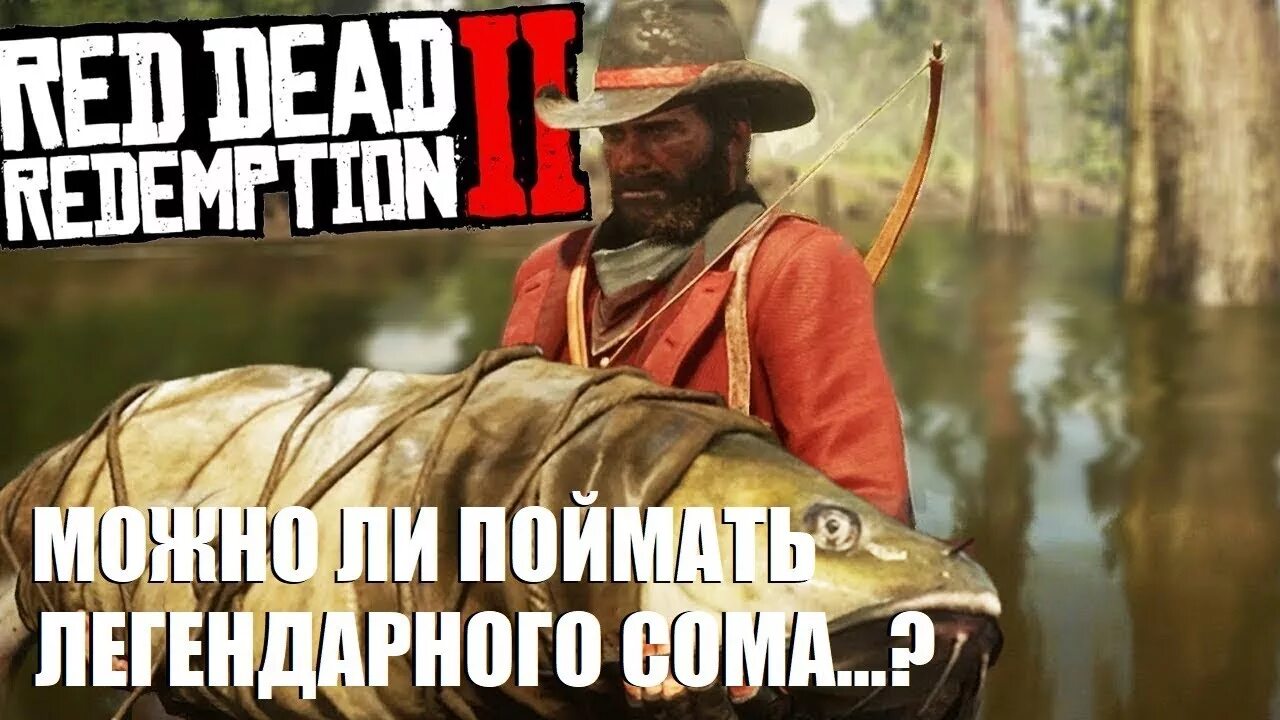 Легендарная рыба red dead redemption. Канальный сом rdr 2. Легендарный канальный сом rdr 2. РДР 2 легендарная рыба сом. Легендарный лосось rdr2.