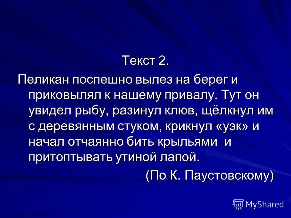 На черной воде плавала громадная птица 4