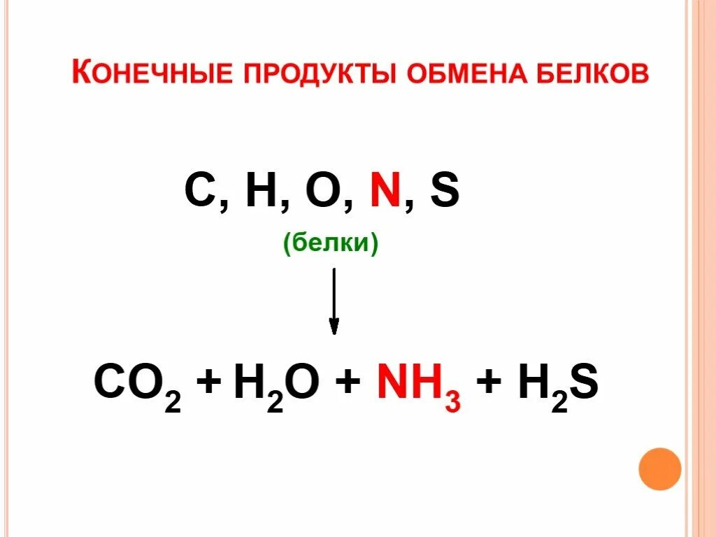 Конечные продукты обмена у человека. Конечные продукты окисления белков. Конечные продукты белкового обмена. Конечный продукт обмена белка. Конечные продукты метаболизма белков.