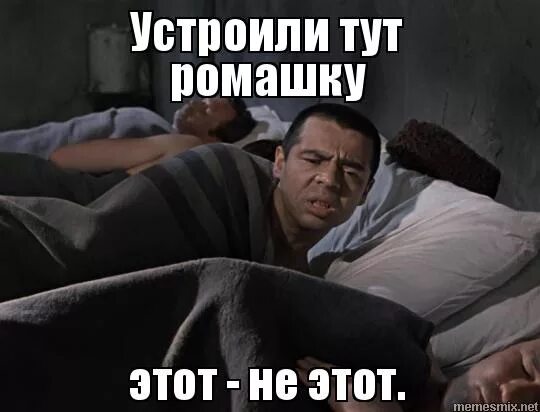 Любитель спать. Дайте спать пожалуйста. Устроили тут ромашка дайте спать. Устроили ромашку джентльмены удачи. Тут помню тут не помню джентльмены удачи.