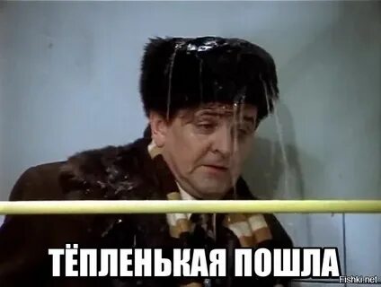 Тепленькая пошла из какого