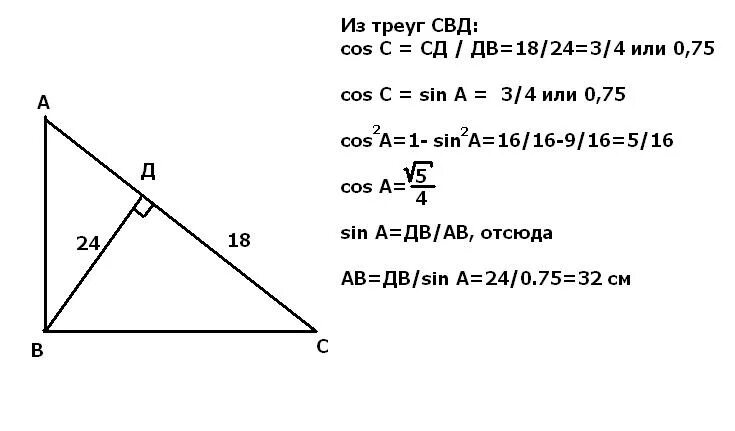 В прямоугольном треугольнике ABC высота bd равна 24. Высота bd прямоугольного треугольника ABC равна. Прямоугольный треугольник высота см. Высота к гипотенузе в прямоугольном треугольнике. Высота бд прямоугольного треугольника абс