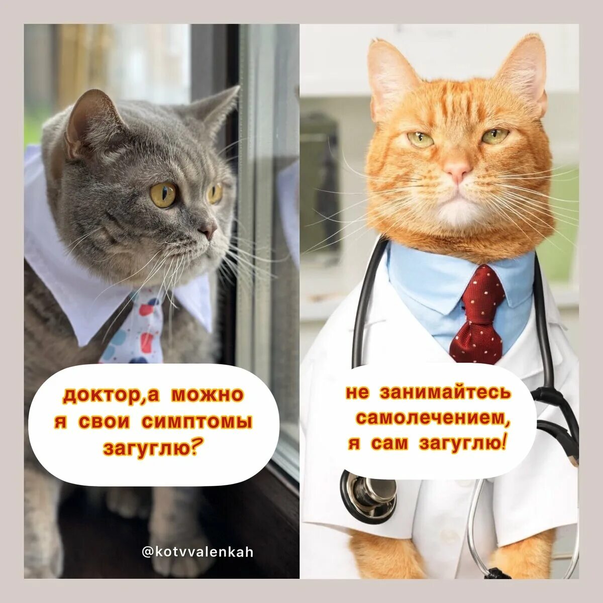 Традиционный кот. Мемы про вечер субботы. Конец стрима. Оставлю это тут. Скоро здесь будет информация.