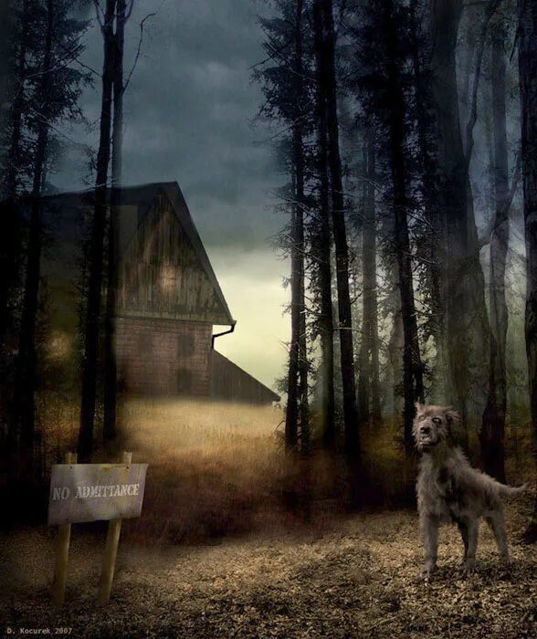 кинг черный дом