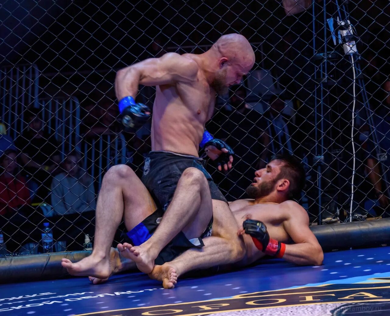 смешанные единоборства. браун смешанные единоборства. александр волков ufc бой. николай присмаков боец. смешанные единоборства фото.