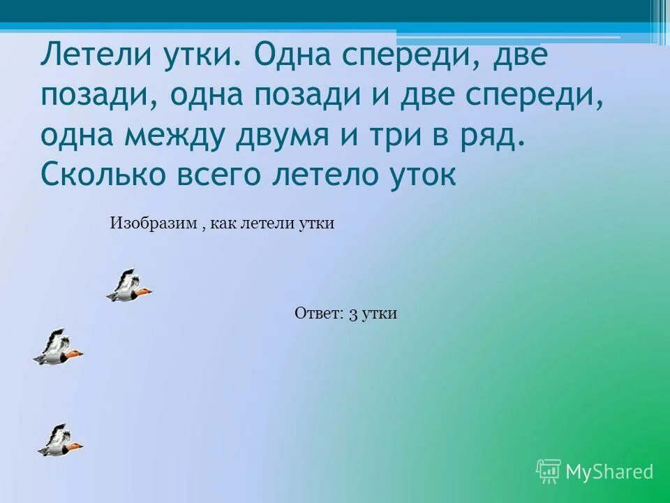 Отгадка спереди. Летели утки одна впереди. Сколько уток на картинке правильный ответ. Сколько уток. Летели два попугая ответ.