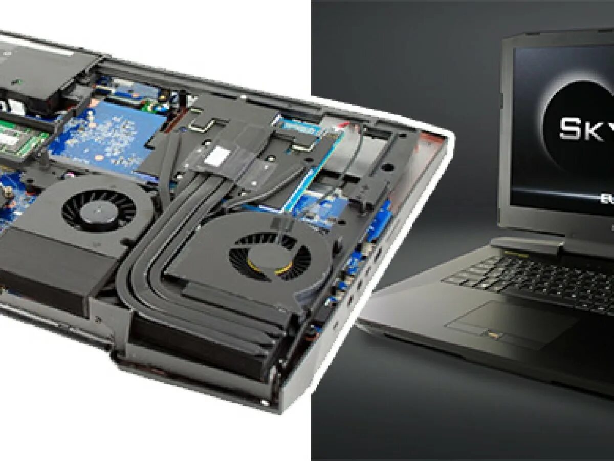 Ноутбук 64 гб оперативной памяти. Eurocom Sky x9. Eurocom Ноутбуки. Оперативная память для ноутбука 16 ГБ.
