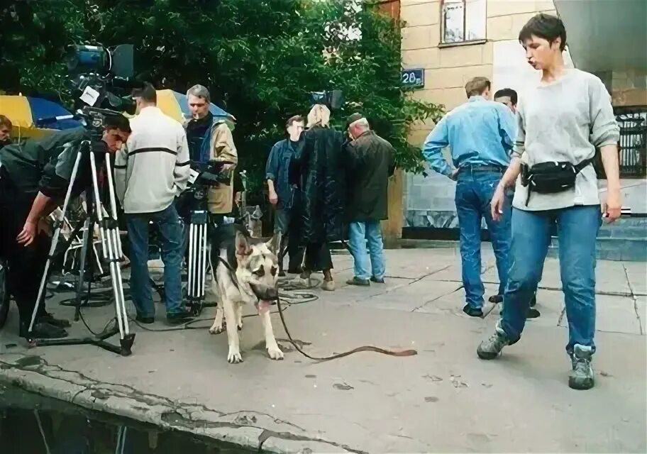 Пес съемка