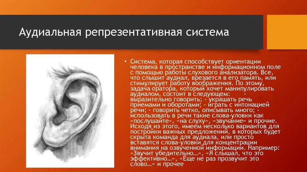 Репрезентативные системы восприятия. Репрезентативные системы человека. Аудиальная репрезентативная система. Репрезентативные системы восприятия человека.