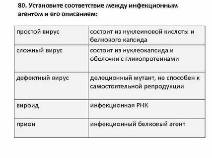 Вирус состоит из кислоты и оболочки