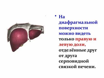 Край печени ровно