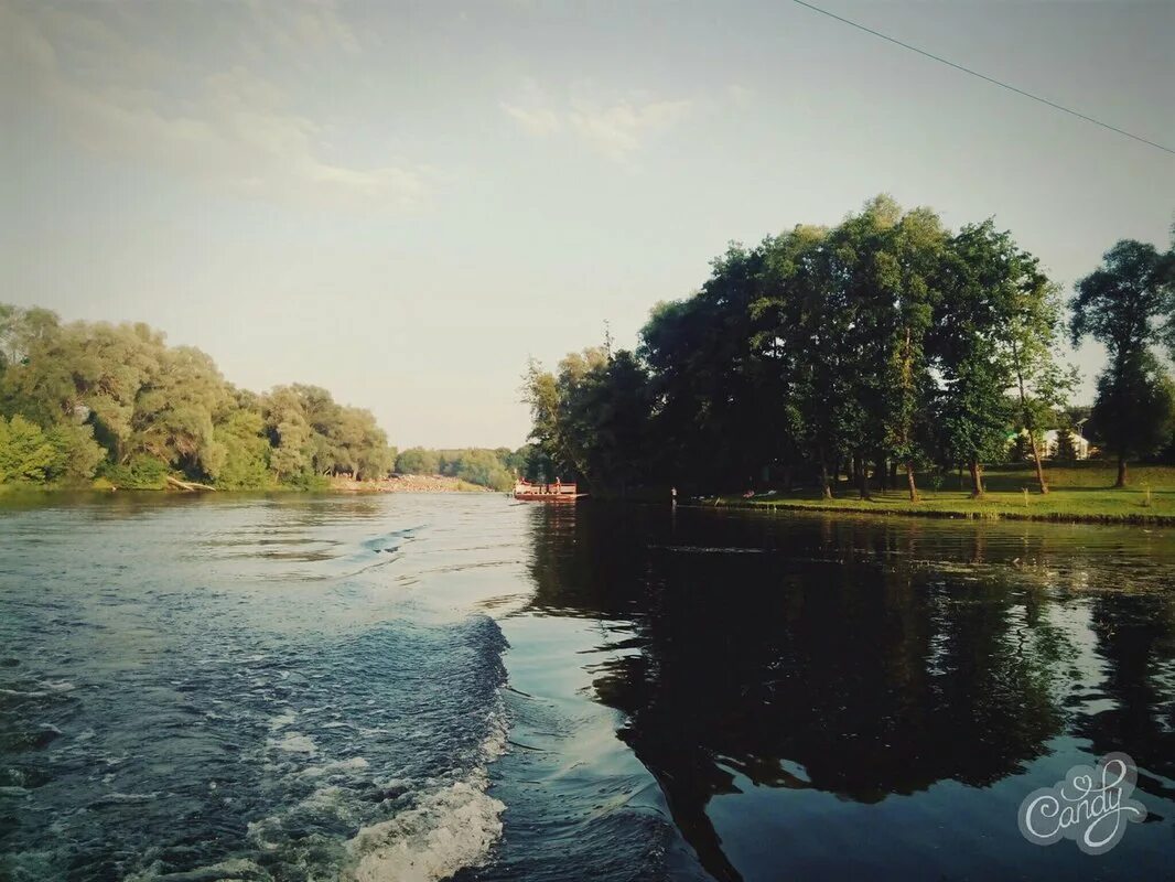 Речка Сейм Курск. Город Курск река Сейм. Льгов река Сейм. Курск река Сеймский мост. Река в курской области 5 букв