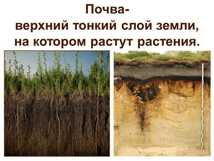 Какие бывают земли
