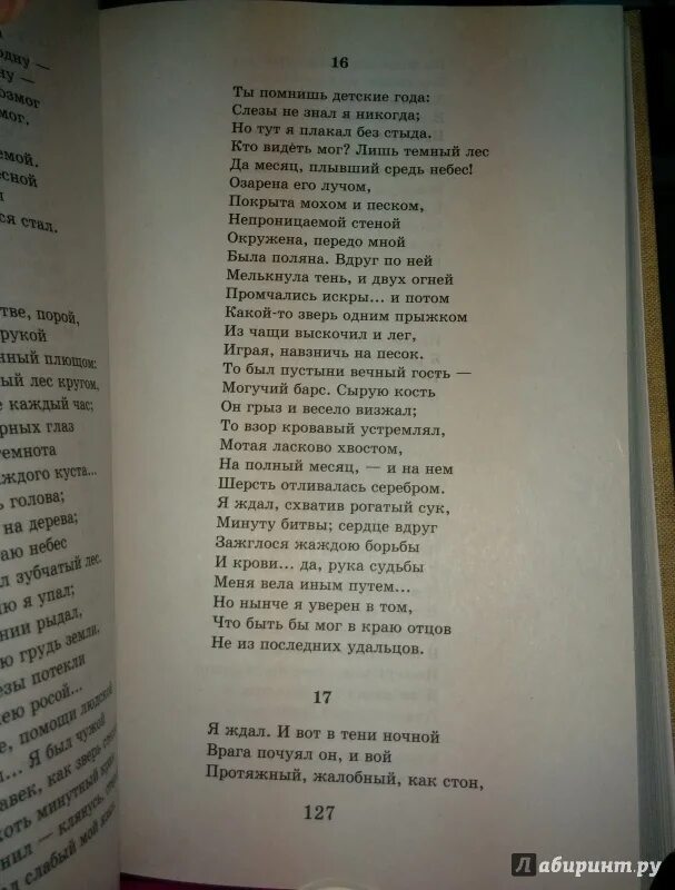 Какой то зверь одним прыжком из чащи