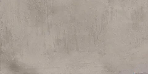 Сильвер натуральный 60x120 cm
