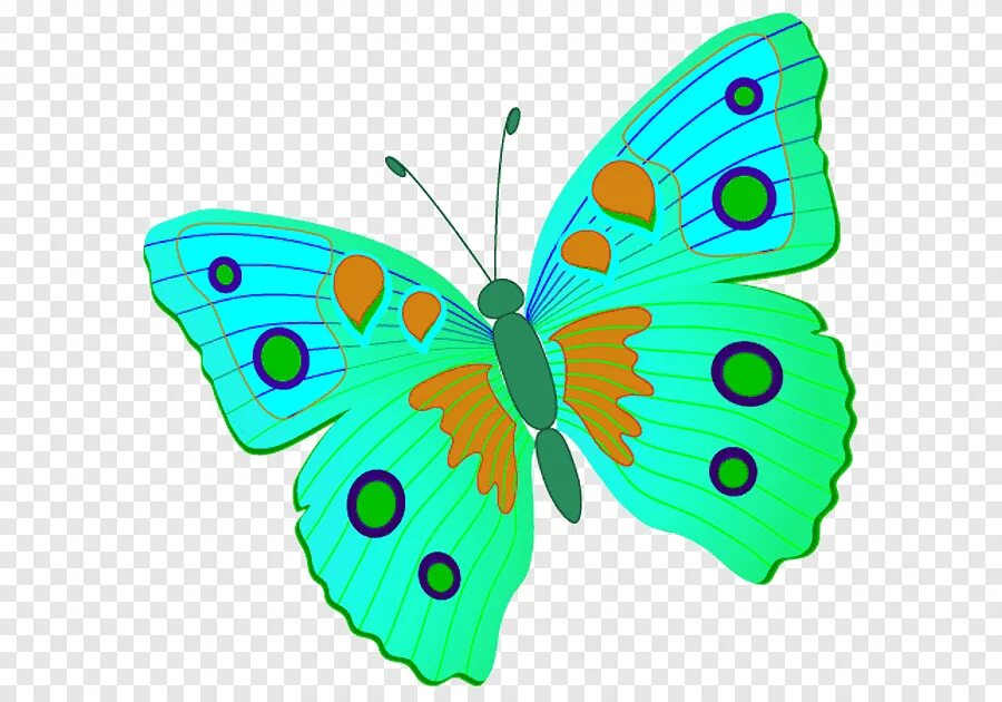 Бабочка в садик. Бабочки цветные. Бабочка картинка для детей. Бабочка рисунок для детей.