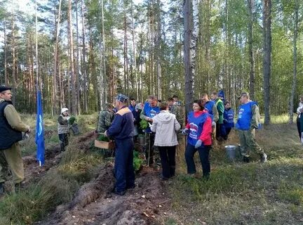 Ковровское лесничество