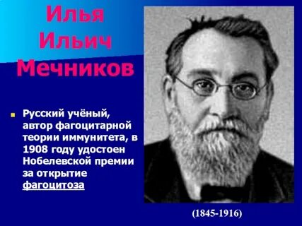 Фрукты для мечников